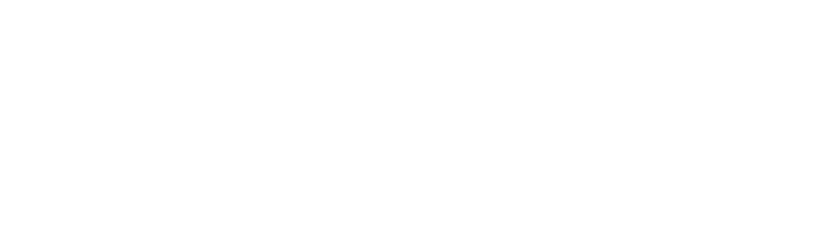Fraud Risk Logo