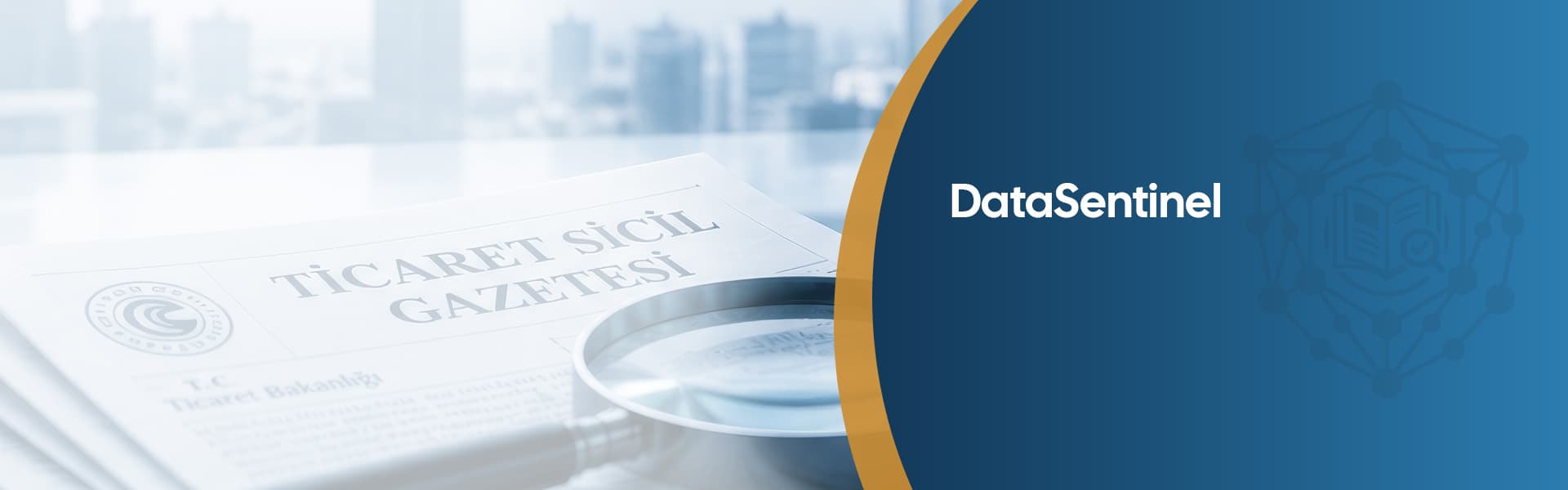 DataSentinel